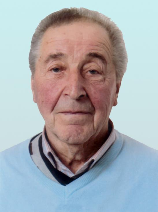 Armand VANWELKENHUYZEN